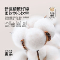 博洋家纺100%全棉枕套单件纯棉枕芯套枕头套对枕套 一对装48*74cm 杏杏满园（100%纯棉对装）