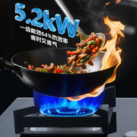 中燃宝燃气灶Q5520家用煤气灶台式嵌入式双灶头猛火天然气灶具