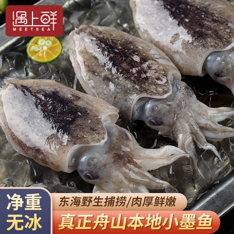 遇上鲜舟山野生小墨鱼仔 东海新鲜冷冻墨鱼 小乌贼目鱼乌贼 海鲜水产 (净重)