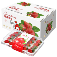 亨迅草莓大凉山99红颜奶油草莓非丹东草莓甜现摘新鲜时令水果生鲜 1盒装丨【单果30g+】净重300g