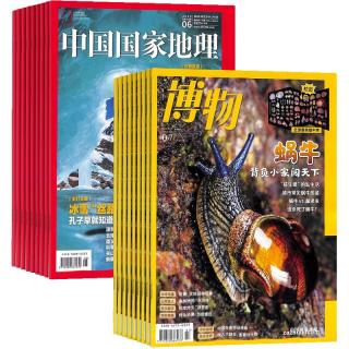 《中国国家地理+博物》（杂志组合订阅、2022年1月-12月组合 共24期）