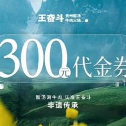 王奋斗贵州酸汤牛肉火锅 300元代金券|限2张