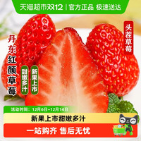 88VIP：本来果坊 丹东 红颜草莓 250g