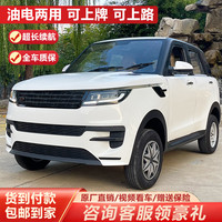 鑫来威 2025新款四轮车电动车代步家用成人老头乐新能源老年代步汽车油电两用