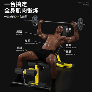DONIUZ多功能哑铃凳椅子卧推器材男飞鸟训练凳练腿器械家用训练 B05多功能哑铃凳