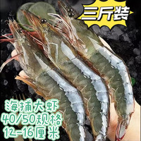 江七公 特大白虾新鲜海捕 厄瓜多尔白虾 海鲜冷冻带冰保鲜  三斤装 三斤装大号白虾