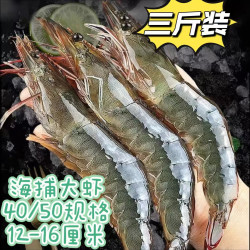 江七公 特大白虾 厄瓜多尔白虾 三斤装大号白虾【10-13只/包】