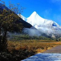 新西兰个人旅游签证2人家庭