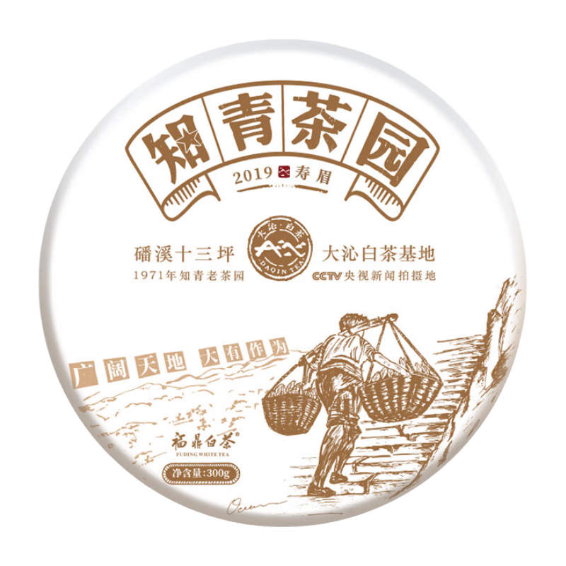 大沁知青茶园福鼎白茶2019年春寿眉茶饼磻溪高山茶叶
