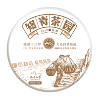 大沁知青茶园福鼎白茶2019年春寿眉茶饼磻溪高山茶叶