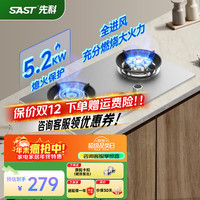 先科 燃气灶天然气 煤气灶双灶 定时家用嵌入式灶具