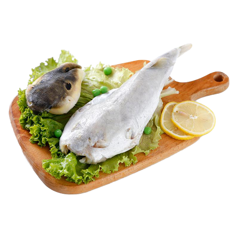 豚之杰 河豚鱼食用 养殖淡水鱼河豚生鲜速冻冰鲜宰杀后200g/条