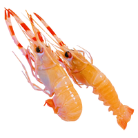 昌鲜园深海鳌虾刺身甜虾超大野生鲜活冷冻新鲜国产海虾海鲜非新西兰鳌虾 1000g(净重)  11-13cm【15-18只/斤】