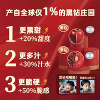 京溢鲜智利车厘子【JD/-多地次日达】4J级新鲜樱桃水果送盒 10斤(净重) 店长 小果 XL 单果24-26mm