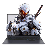 机械革命 极光X  i7-13700HX RTX5060灰16G+1T 高清电竞屏