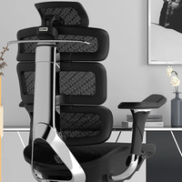 PLUS会员、国家补贴：Ergomax Evolution2+ 海绵座人体工学电脑椅网椅家用办公椅子电竞 海绵座 魅力黑