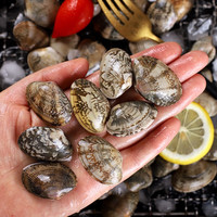 安峰山鲜活花甲 鲜活新鲜海鲜花甲无沙花蛤花蛤文蛤新鲜贝类蚬子 花 3斤 