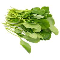 槿馐芥兰苗500g 小芥兰菜心新鲜蔬菜绿叶菜嫩叶炒菜火锅酒店食材  1斤