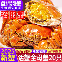 盘锦河蟹 网兜蟹）盘锦河蟹牌盘锦河蟹稻田蟹河蟹大闸蟹鲜活螃蟹 全母蟹丨0.9-1.2两*20只