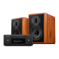 HiVi/惠威 发烧音箱 Hifi无源书架音响套装 木质