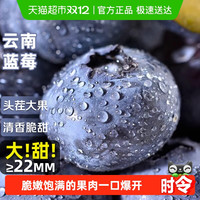 移动端、88VIP：寻天果蔬 云南蓝莓正宗国产新鲜蓝莓王巨无霸当季水果自带花香整箱大果