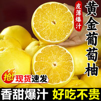 粤迎 正宗黄金葡萄柚 9斤优选装 净8.5斤