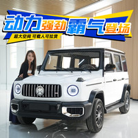 大G款四轮车电动车油电两用代步车新款接送孩子家用老头乐成年人 锂电升级款