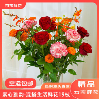 京东鲜花 素心雅韵 19枝 鲜花花束 红玫瑰8枝+橙芭比泡泡2枝+伊人康乃馨5枝+火焰兰3枝+油画小菊1枝