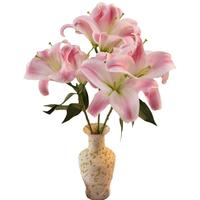 京东鲜花云南昆明鲜花基地直发粉色香水百合9朵家庭生活鲜花源头直发