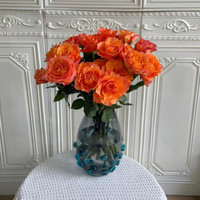 京东鲜花玫瑰花精品无土基地直发水养套餐玫瑰色20支装 45CM 源头直发