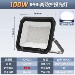 佛山照明 led投光灯户外庭院灯射灯室外照明灯探照灯100W IP65