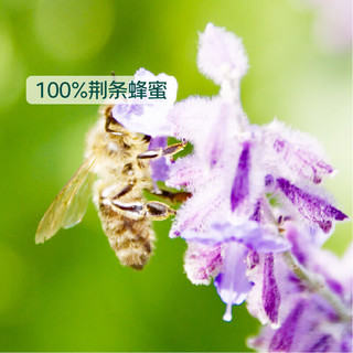 七鲜 繁花鲜蜜 纯荆条蜂蜜 1kg 挤压瓶装