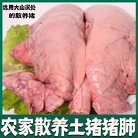 果亦橙乡下土猪散养新鲜现杀猪耳（猪部位猪下水）源头直发 猪肺一副（2-3斤/份）