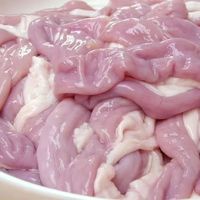 果亦橙乡下土猪散养新鲜现杀猪耳（猪部位猪下水）源头直发净重 猪粉肠2斤