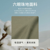 SHANSHAN/杉杉 纯棉 男士POLO衫
