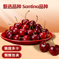 兴果里车厘子智利车厘子桑提娜新鲜水果大樱桃盒