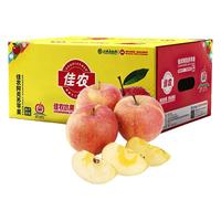 佳农新疆阿克苏冰糖心苹果8斤 果径80mm+ 25年新果 水果礼盒