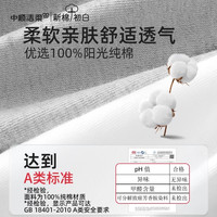 洁柔一次性内裤男士纯棉无菌平角短裤旅行免洗日抛裤灭菌独立包装