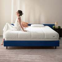 林氏家居0倦感分区弹簧可拆卸海绵床垫