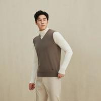 值友专享、保暖服饰：ERDOS 1980 100%山羊绒V领背心 男士