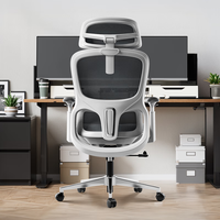 黑白调P2 Pro+人体工学电脑椅办公人工力学座椅学习久电竞椅子 P2 Pro+【360°魔术扶手 3D头枕】霜白