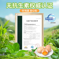 壹号土谷物蛋新鲜无菌土鸡蛋可生食草鸡蛋无抗谷物鸡蛋年货节