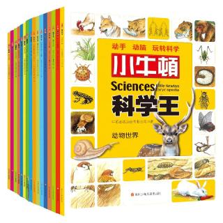《小牛顿科学王》（套装共16册）