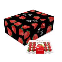 MPPMCK大凉山 红颜99草莓 奶油草莓 拍2份合发一箱 新鲜红颜99草莓 2盒 ( 单盒15粒300g+)**