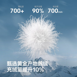  BOSIDENG/波司登 90鹅绒 男士羽绒服  极地灰8270-充绒量+9%左右-700+高蓬鹅绒 3XL 195/112A 体重约180-190斤