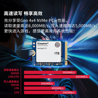 Kingston/金士顿 NV3 1TB大容量 固态硬盘