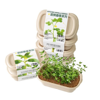 小花农 儿童蔬菜植物生长观察实验套装玩具