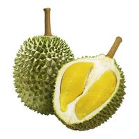 榴鲜生猫山王榴莲 马来西亚猫山王整果老树榴莲水果  保4房