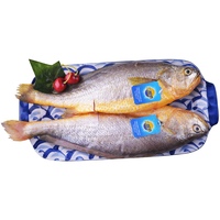 三都港 三去宁德大黄花鱼去鳞去鳃去内脏新鲜生鲜海鲜冷冻水产活冻锁鲜 三去黄花鱼4条装共1.8斤