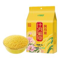 十月稻田 黄小米五谷杂粮小黄米1kg小米粥粗粮早餐米油丰厚香2斤